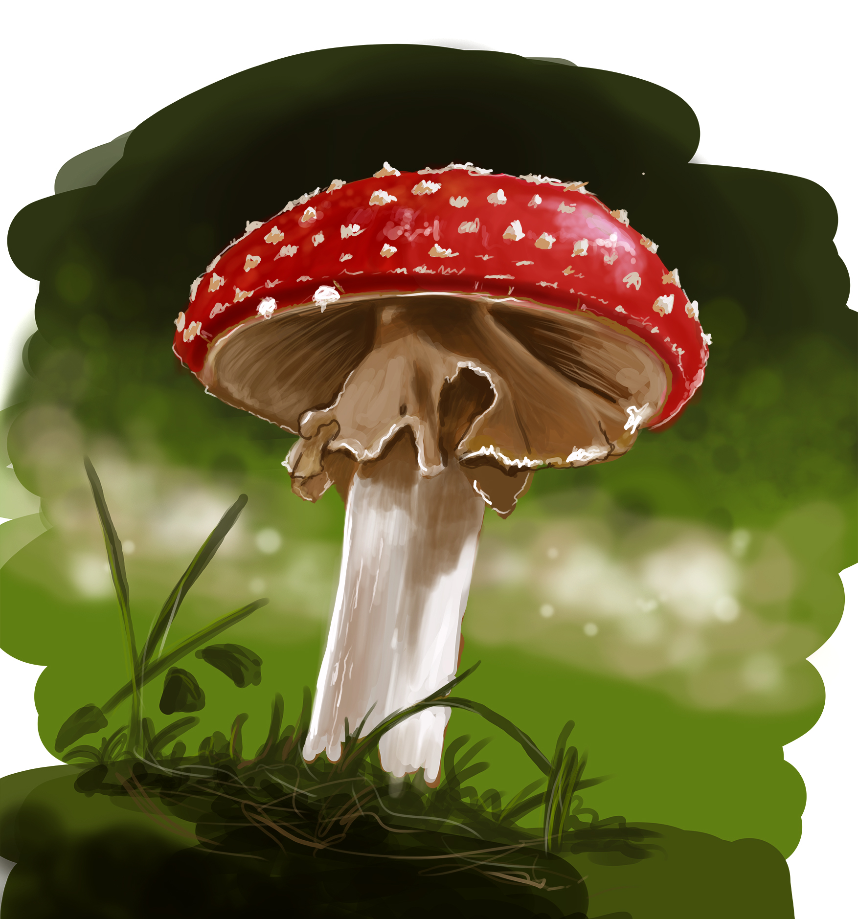 Champignon