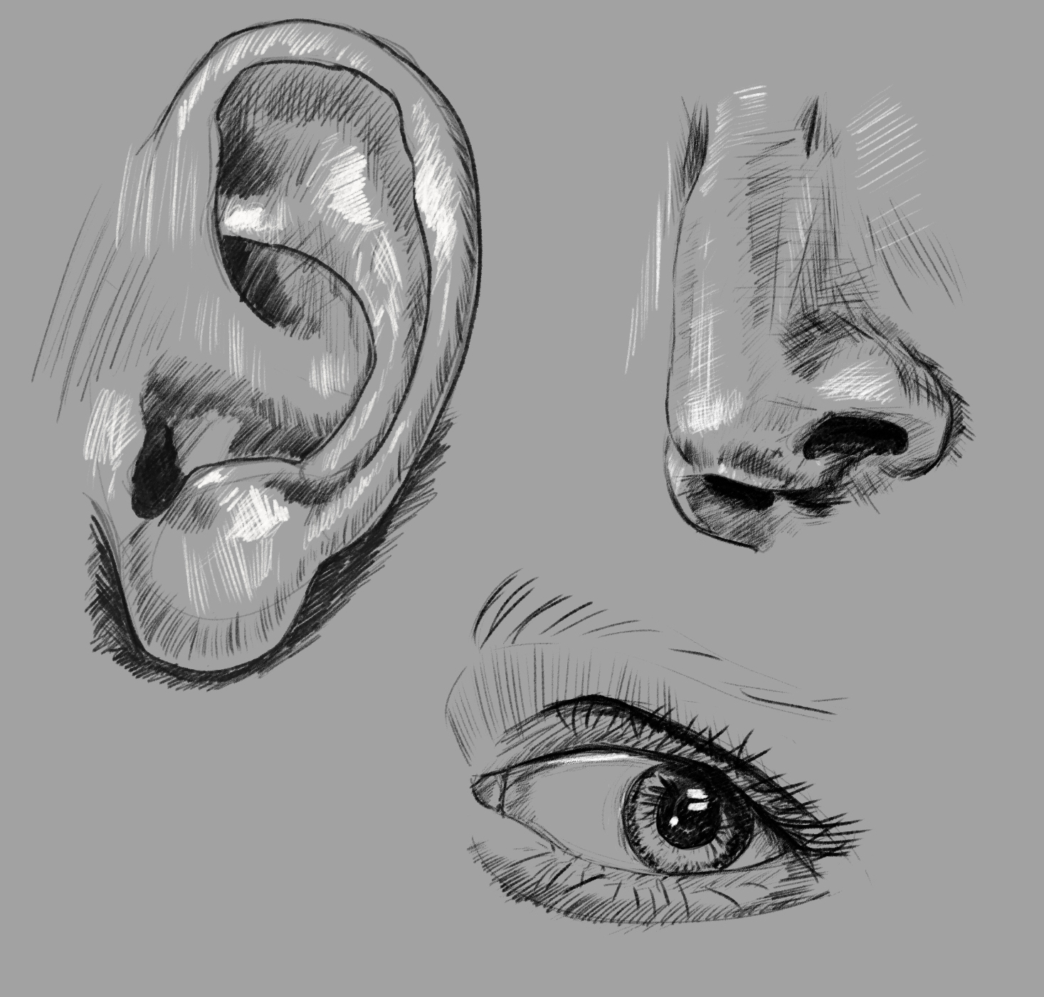 Croquis 2