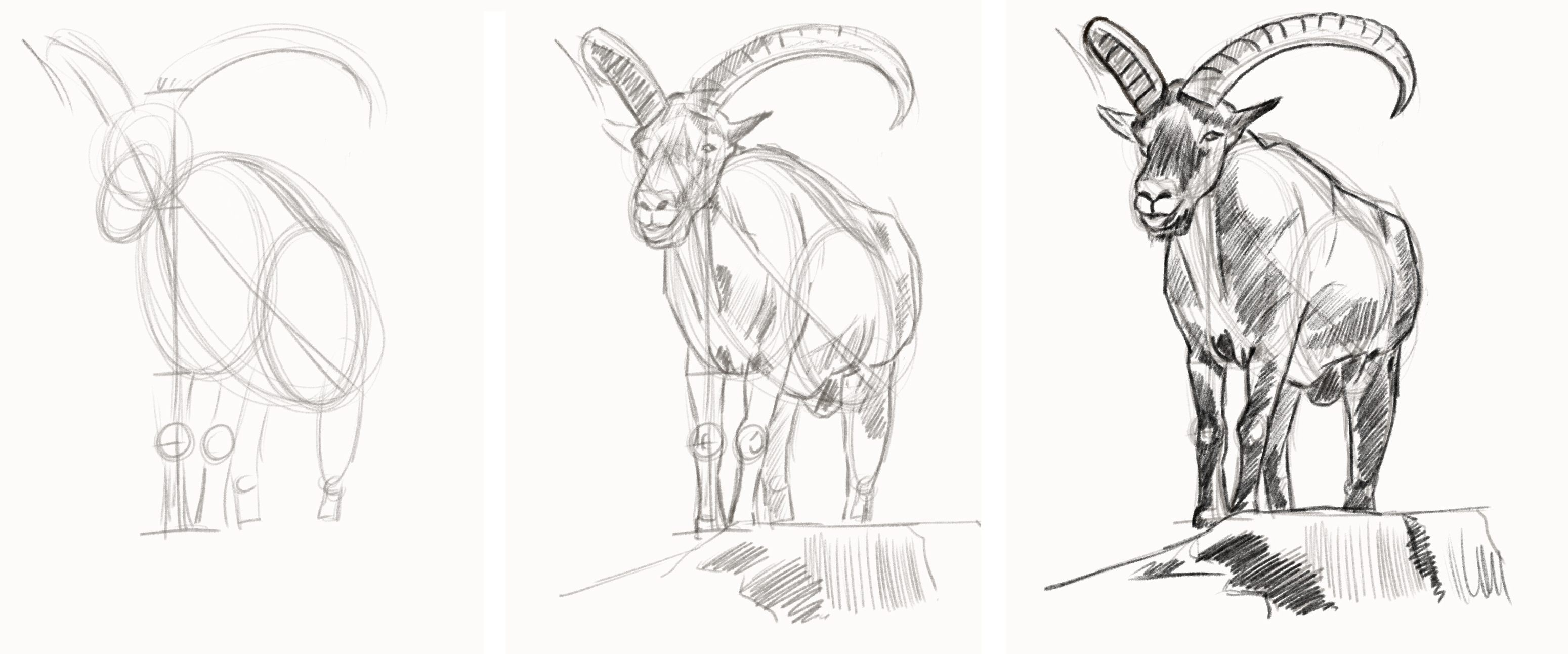 Croquis