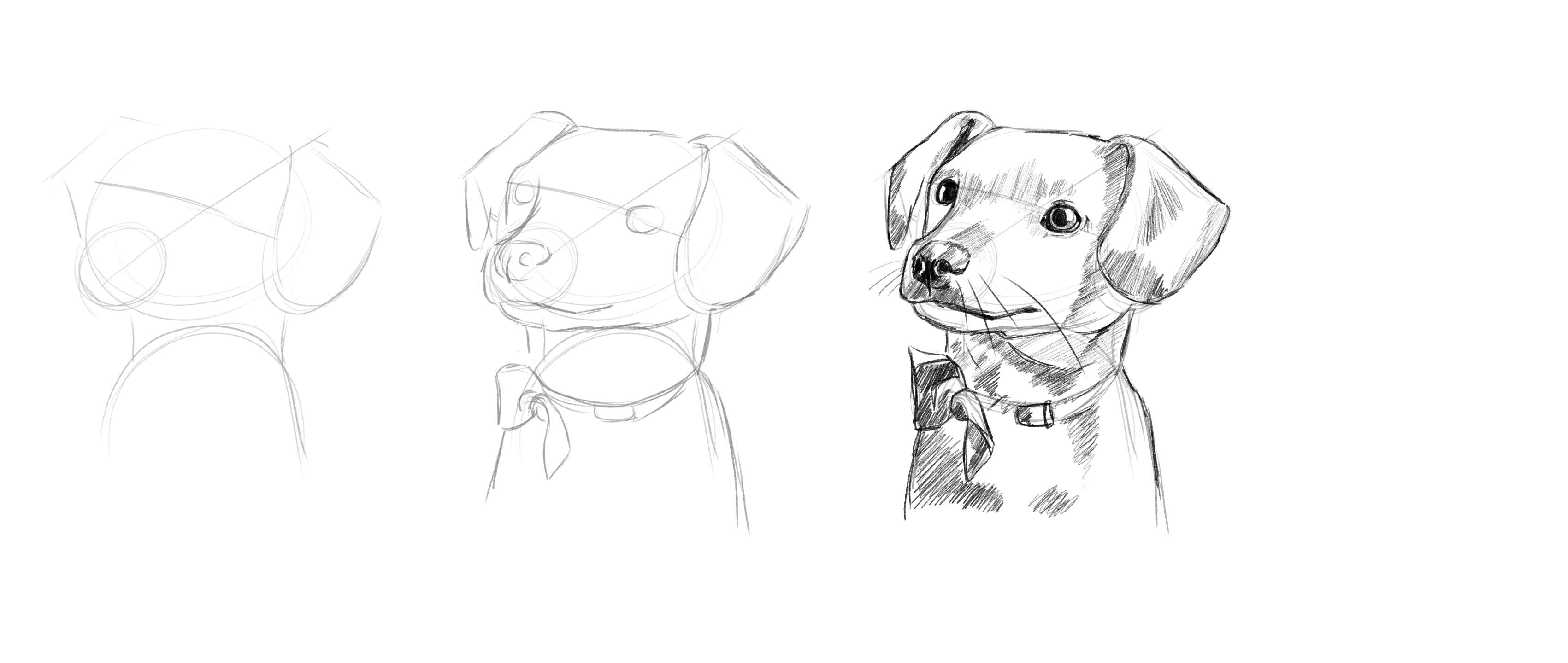 Croquis