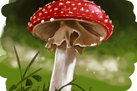 Champignon